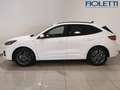 Ford Kuga 3ª SERIE 2.5 PHEV 225 CV CVT 2WD ST-LINE X Blanc - thumbnail 7
