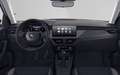 Skoda Kamiq 1.0 TSI Selection Zilver - thumbnail 5