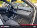 Toyota Corolla Touring Sports Hybrid Team D 2.0 EU6d Grau - thumbnail 10