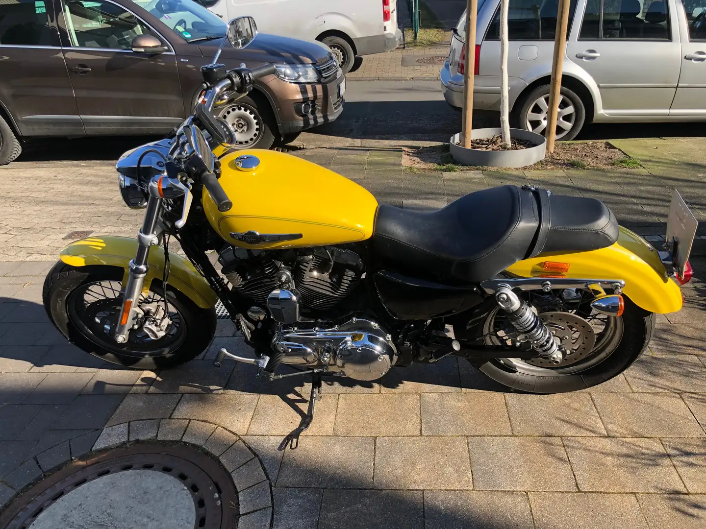 Harley-Davidson 1200 Custom XL1200CB Gelb - 1