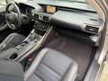 Lexus IS 300 300h Edition [ dealer oh, nl-auto, 1e eig ] Grau - thumbnail 37