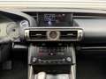 Lexus IS 300 300h Edition [ dealer oh, nl-auto, 1e eig ] Grau - thumbnail 50