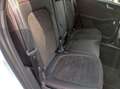 Ford Kuga 4x4 ST-Line X PANO FHEV ACC 20"-ALU LED Weiß - thumbnail 14
