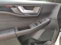 Ford Kuga 4x4 ST-Line X PANO FHEV ACC 20"-ALU LED Weiß - thumbnail 5