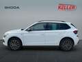 Skoda Kamiq Tour 1,0 TSI 85 kW 7-Gang-DSG Anhängerkupplung Wit - thumbnail 9