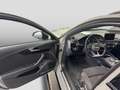 Audi A4 50 TDI quattro Tiptronic S line B&O LED Gris - thumbnail 14