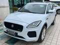 Jaguar E-Pace 2.0d i4 R- Dynamic S awd 150cv Bianco - thumbnail 6