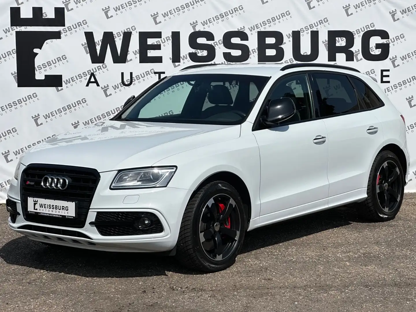 Audi SQ5 3.0 TDI plus quattro STANDHZG|KEYLESS|B&O Weiß - 1