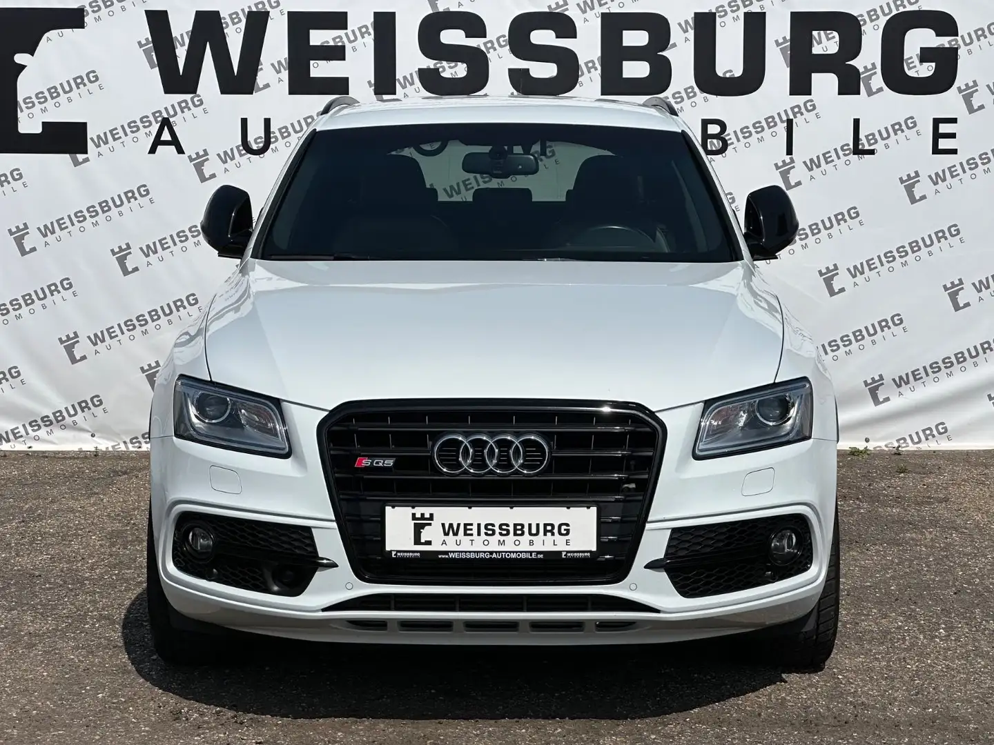 Audi SQ5 3.0 TDI plus quattro STANDHZG|KEYLESS|B&O Weiß - 2