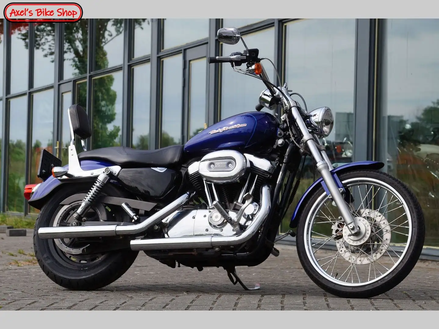 Harley-Davidson Sportster 1200 CUSTOM Blue - 1