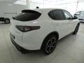 Alfa Romeo Stelvio Stelvio 2023 2.2 t Veloce Q4 210cv auto Blanco - thumbnail 6