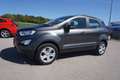 Ford EcoSport 1,0 EcoBoost Trend Grau - thumbnail 17