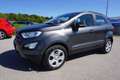 Ford EcoSport 1,0 EcoBoost Trend Grau - thumbnail 2