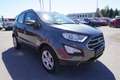 Ford EcoSport 1,0 EcoBoost Trend Grau - thumbnail 6