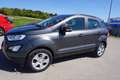 Ford EcoSport 1,0 EcoBoost Trend Grau - thumbnail 16