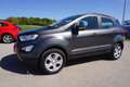 Ford EcoSport 1,0 EcoBoost Trend Grau - thumbnail 3