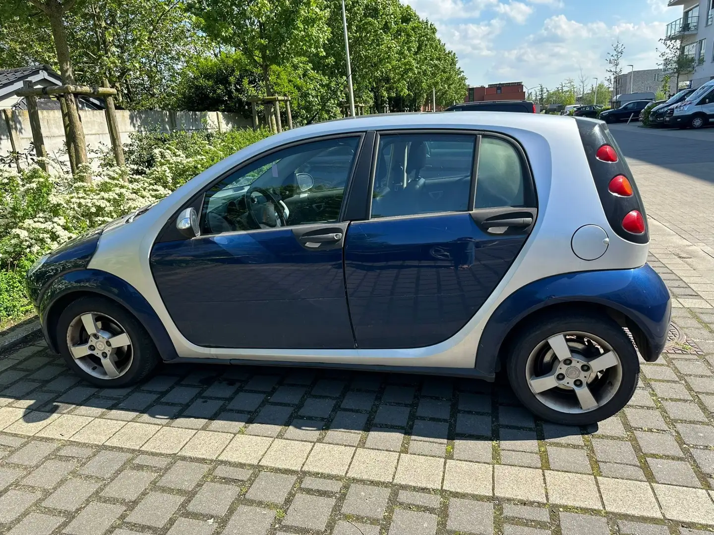 smart forFour cdi pure Blauw - 1