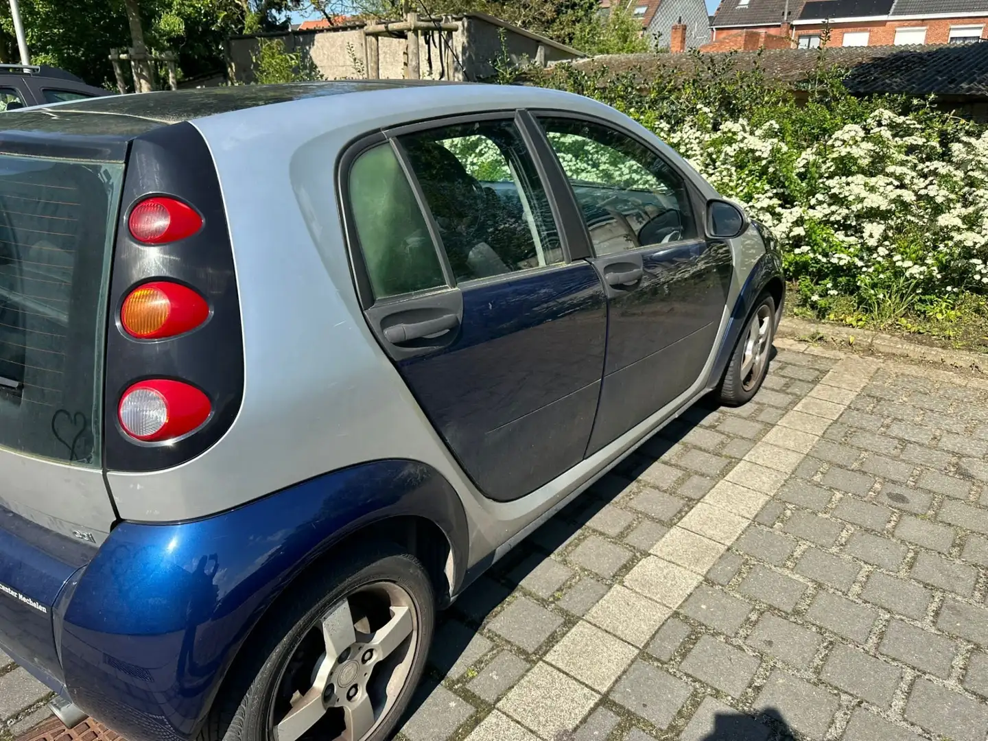 smart forFour cdi pure Blauw - 2