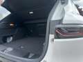 Alfa Romeo Tonale 1.5 Mild Hybrid Veloce (EURO 6e) Gris - thumbnail 12