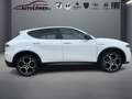 Alfa Romeo Tonale 1.5 Mild Hybrid Veloce (EURO 6e) Gris - thumbnail 5