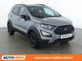 Ford EcoSport 1.0 EcoBoost Active Grau - thumbnail 8