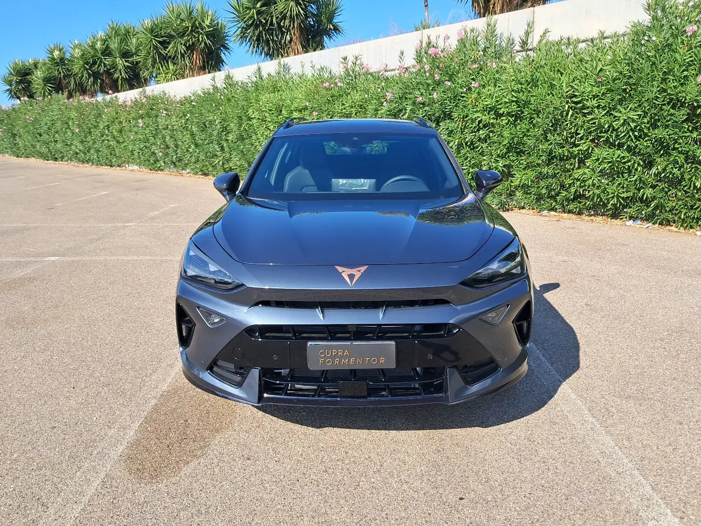 CUPRA Formentor Formentor 2.0 TDI DSG Gris - 1