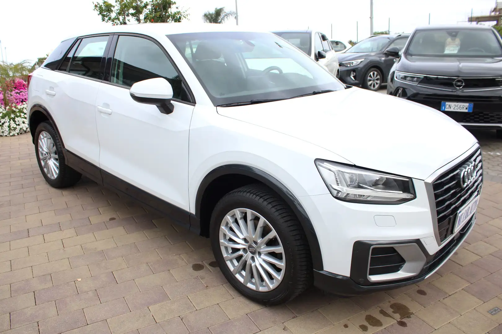 Audi Q2 30 1.0 tfsi Blanc - 2