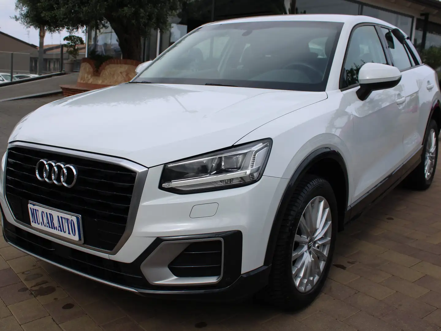 Audi Q2 30 1.0 tfsi Blanc - 1