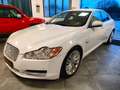 Jaguar XF XF I 2008 Berlina 3.0d V6 Premium Luxury auto - thumbnail 4