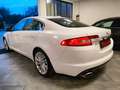 Jaguar XF XF I 2008 Berlina 3.0d V6 Premium Luxury auto - thumbnail 5