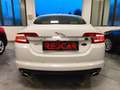 Jaguar XF XF I 2008 Berlina 3.0d V6 Premium Luxury auto - thumbnail 6