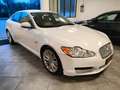 Jaguar XF XF I 2008 Berlina 3.0d V6 Premium Luxury auto - thumbnail 2