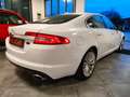 Jaguar XF XF I 2008 Berlina 3.0d V6 Premium Luxury auto - thumbnail 7