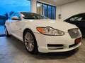 Jaguar XF XF I 2008 Berlina 3.0d V6 Premium Luxury auto - thumbnail 1