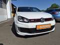 Volkswagen Golf GTI 35  """ Edition 35 """ Weiß - thumbnail 11
