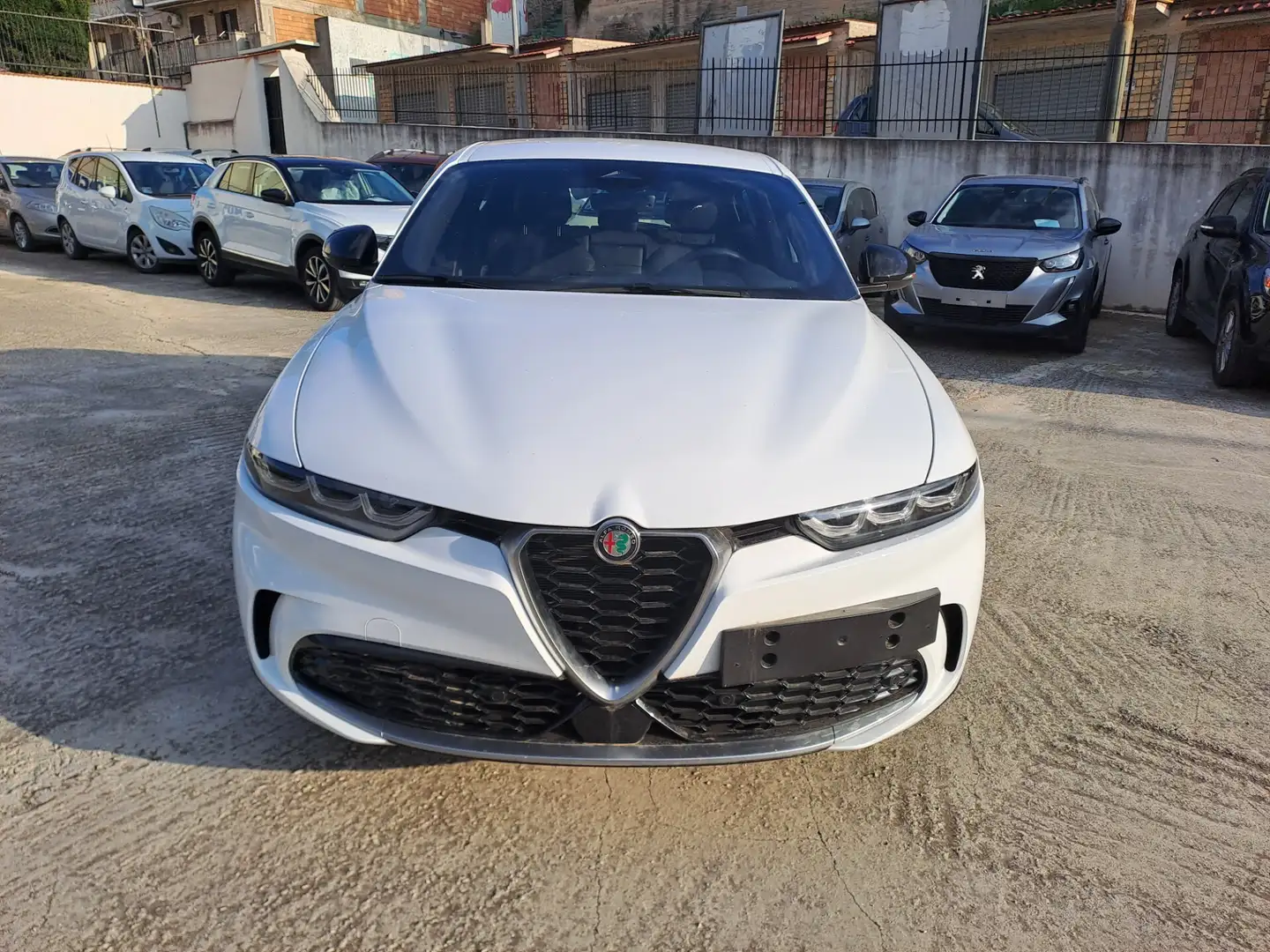 Alfa Romeo Tonale 1.6 diesel 130 CV TCT6 Sprint Blanc - 2