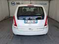 Lancia MUSA 1.4 8V Ecochic BIFUEL GPL Gold Weiß - thumbnail 11