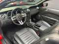 Ford Mustang allestimento tigarda desing Rosso - thumbnail 13