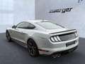 Ford Mustang Fastback 5.0 MACH1 Tempomat Navi Kamera LE Gris - thumbnail 4