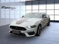 Ford Mustang Fastback 5.0 MACH1 Tempomat Navi Kamera LE Gris - thumbnail 1