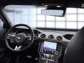 Ford Mustang Fastback 5.0 MACH1 Tempomat Navi Kamera LE Gris - thumbnail 12