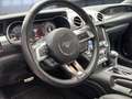 Ford Mustang Fastback 5.0 MACH1 Tempomat Navi Kamera LE Gris - thumbnail 7