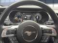Ford Mustang Fastback 5.0 MACH1 Tempomat Navi Kamera LE Gris - thumbnail 8