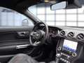 Ford Mustang Fastback 5.0 MACH1 Tempomat Navi Kamera LE Gris - thumbnail 14