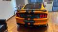 Ford Mustang Fastback 5.0 V8 TiVCT GT SHELBY FIFTY FIVE YEARS Arancione - thumbnail 5