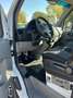 Mercedes-Benz Sprinter 414 cdi Cassone 4,50 mt Alluminio Blanc - thumbnail 7