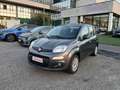 Fiat Panda 1.2 Easy 69cv KM 81.000 5 POSTI Grigio - thumbnail 1