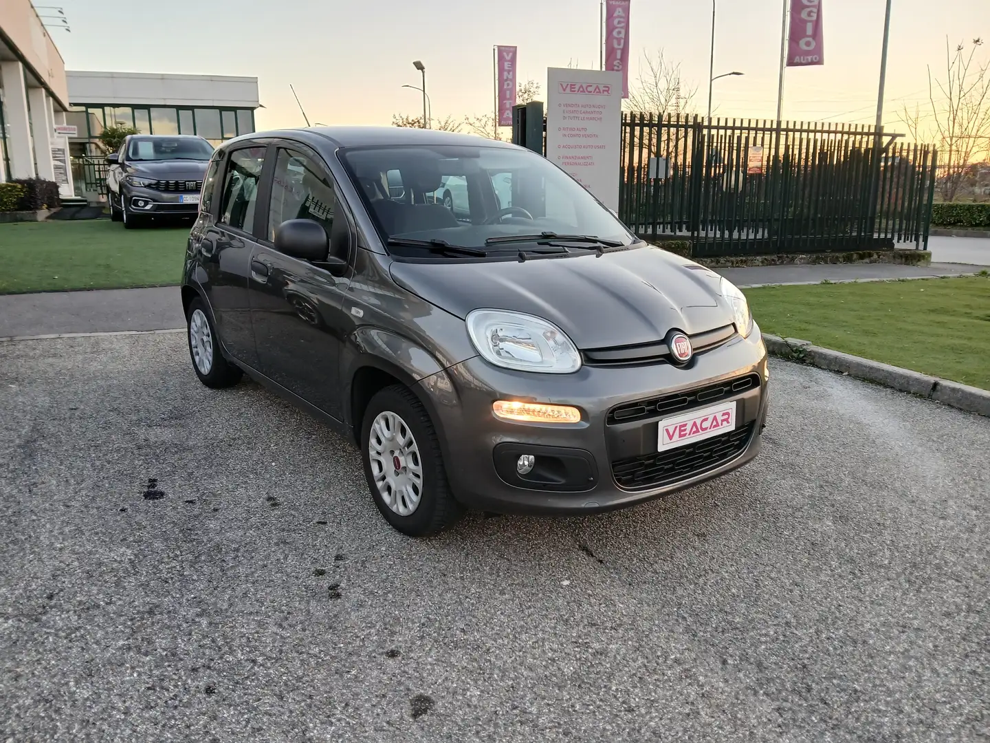 Fiat Panda 1.2 Easy 69cv KM 81.000 5 POSTI Grigio - 2