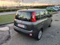 Fiat Panda 1.2 Easy 69cv KM 81.000 5 POSTI Grigio - thumbnail 5