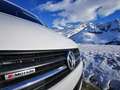 Volkswagen T6 California Beach 150cv 4Motion Bianco - thumbnail 3